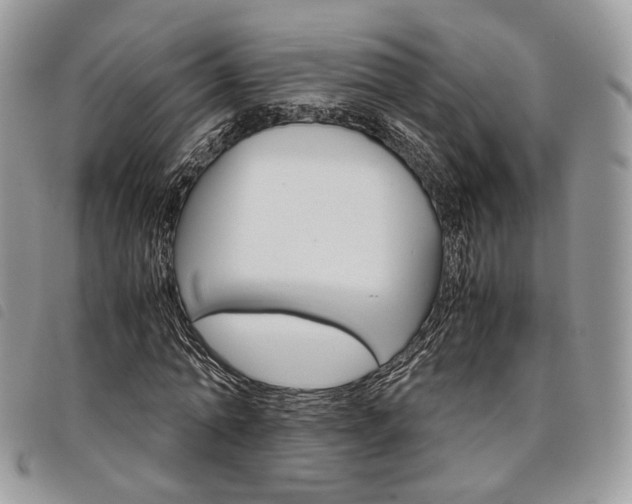 X0000098040774200804071440