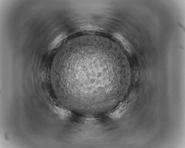 X0000098040775200804071440