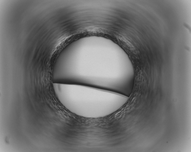 X0000098040776200804071440