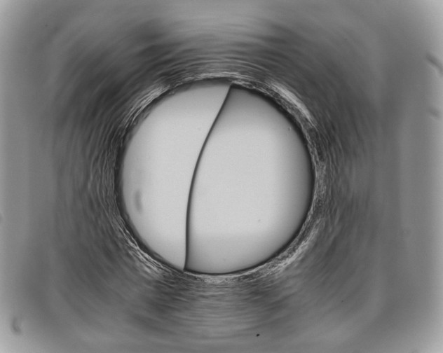 X0000098040777200804071440