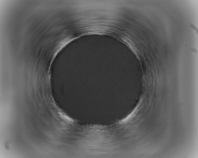 X0000098040779200804071440