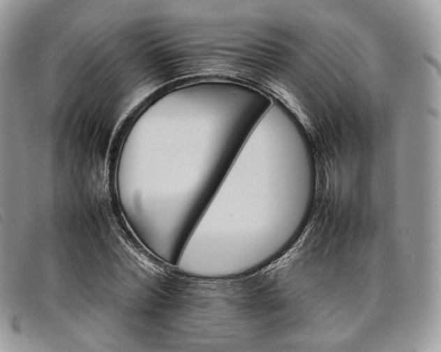 X0000098040780200804071440
