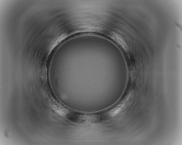 X0000098040781200804071440