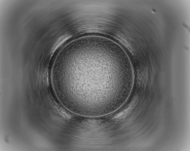 X0000098040782200804071440