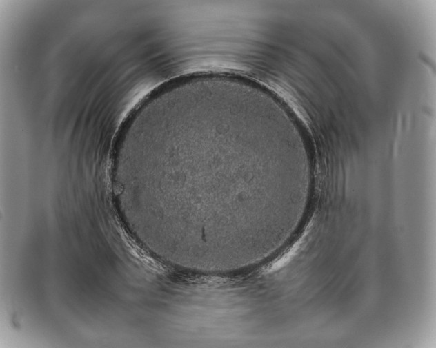 X0000098040783200804071440