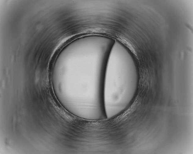 X0000098040784200804071440