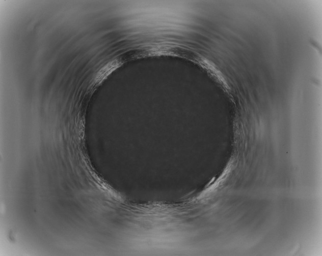 X0000098040785200804071440
