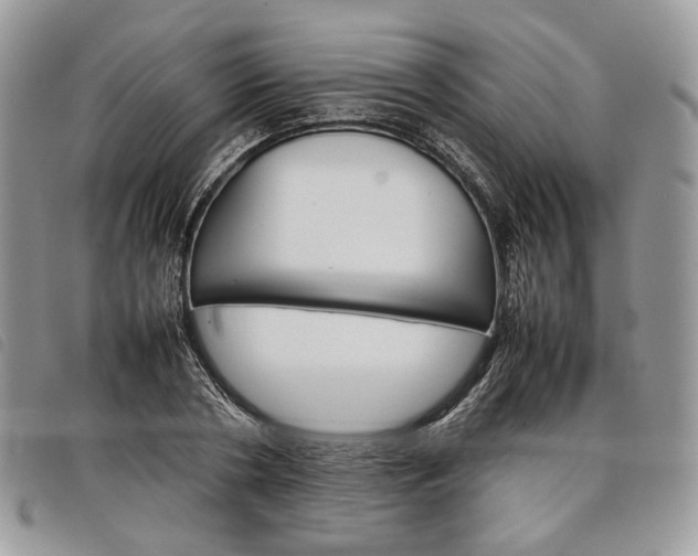 X0000098040786200804071440
