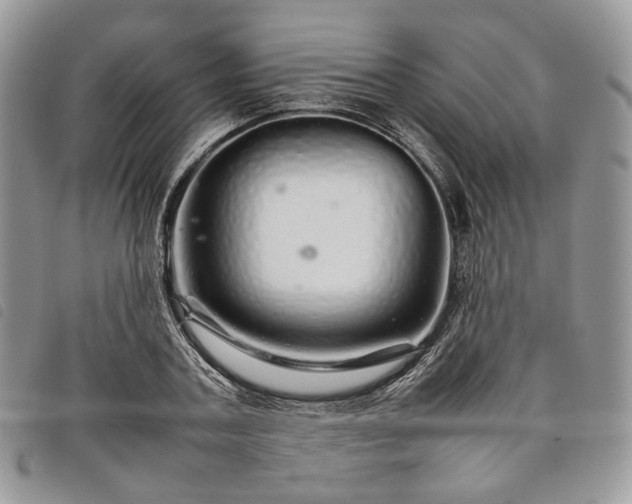 X0000098040787200804071440