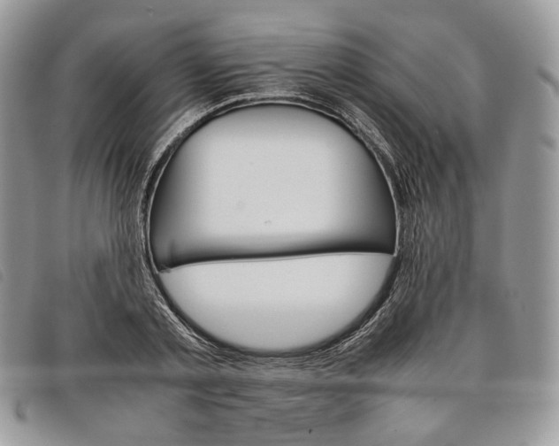 X0000098040789200804071440