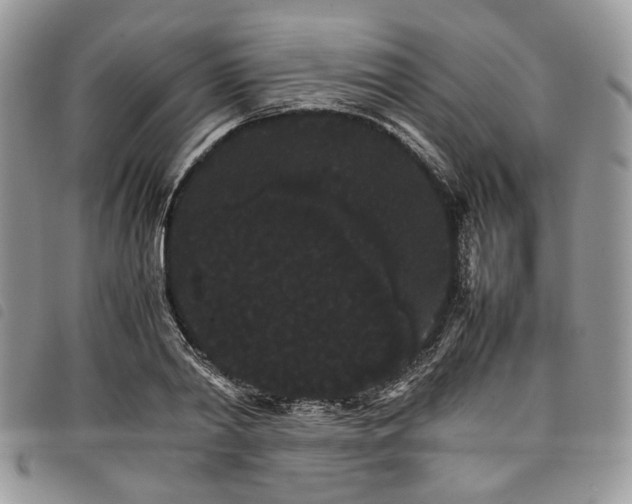 X0000098040790200804071440