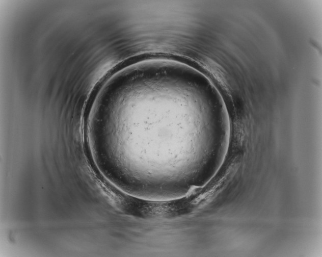 X0000098040791200804071440
