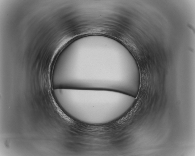 X0000098040792200804071440