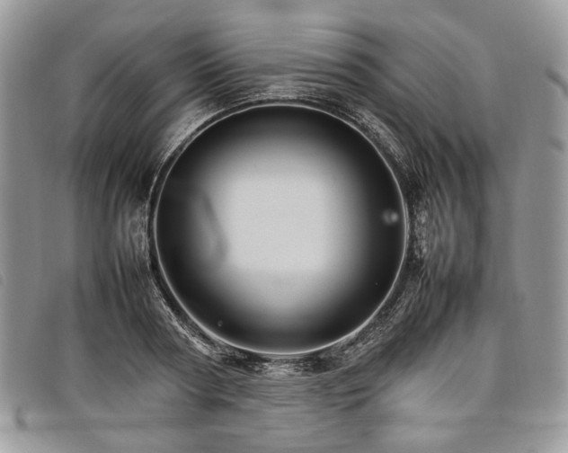 X0000098040794200804071440
