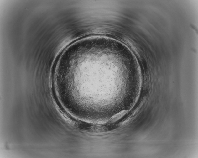 X0000098040795200804071440