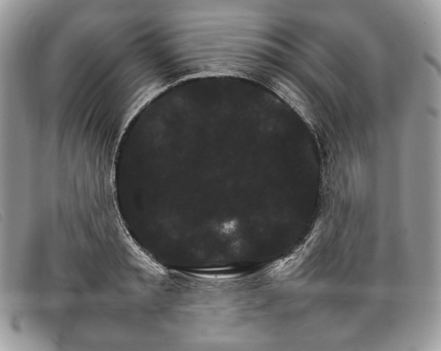 X0000098040797200804071440