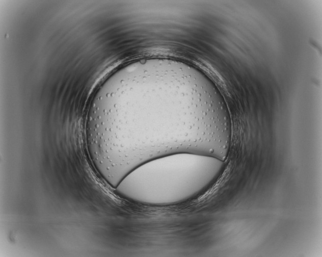 X0000098040798200804071440