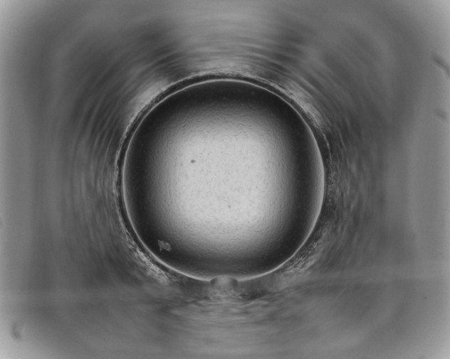X0000098040799200804071440