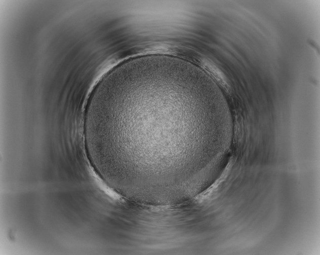 X0000098040800200804071440