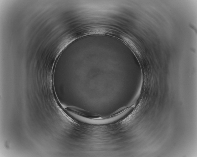 X0000098040802200804071440