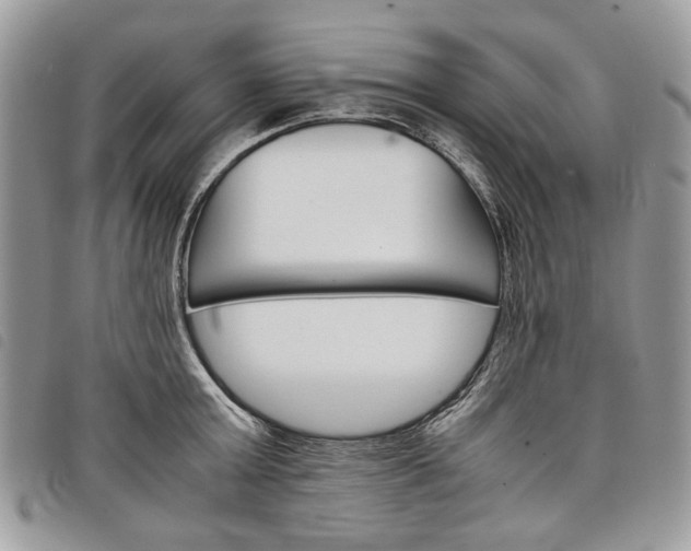 X0000098040803200804071440
