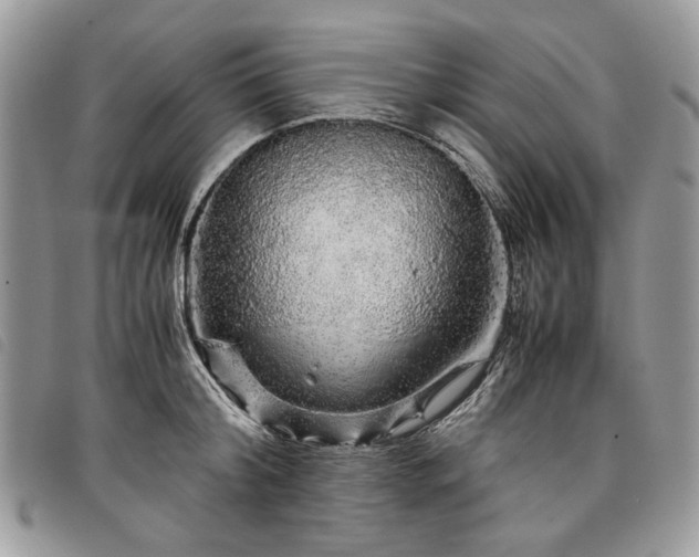 X0000098040804200804071440