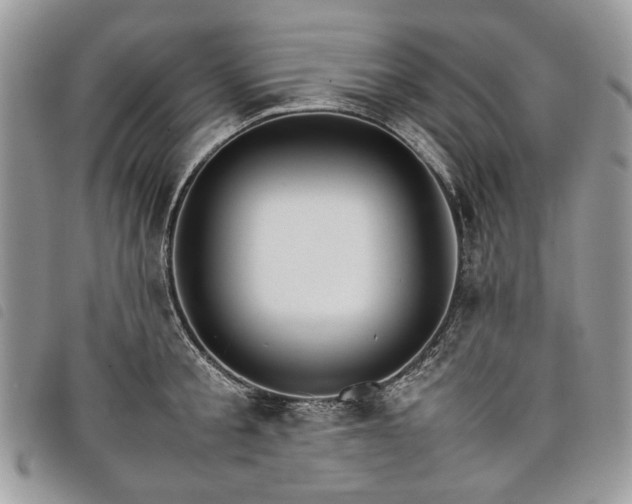 X0000098040805200804071440