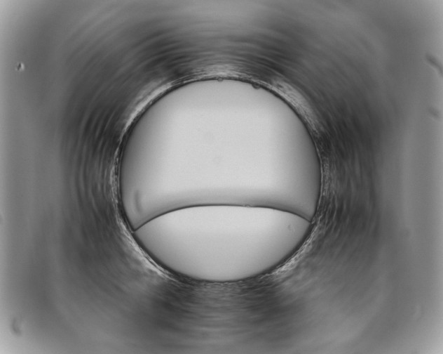 X0000098040806200804071440