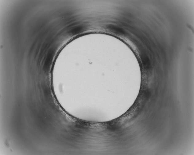X0000098040807200804071440