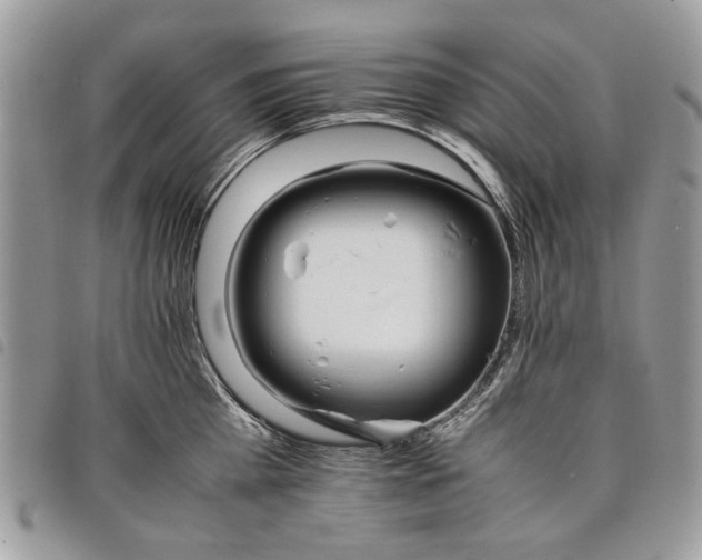 X0000098040809200804071440