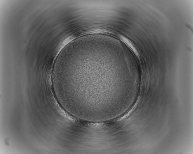 X0000098040810200804071440