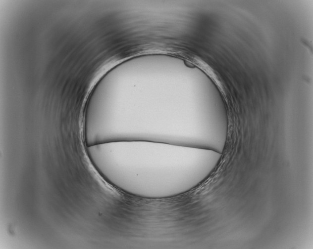 X0000098040811200804071440