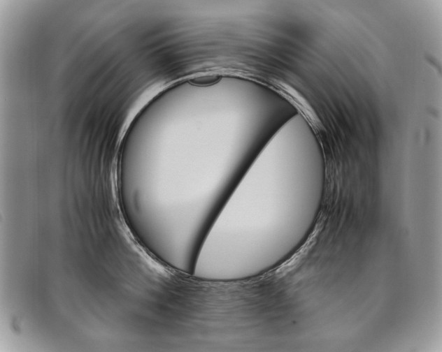X0000098040812200804071440