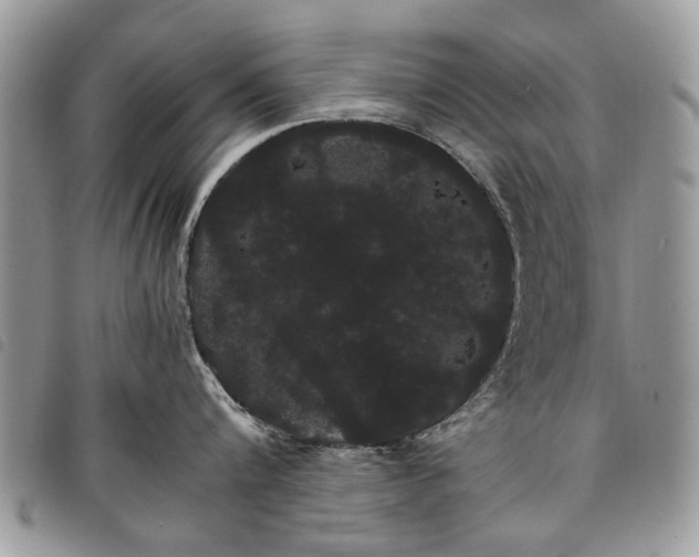 X0000098040816200804071440