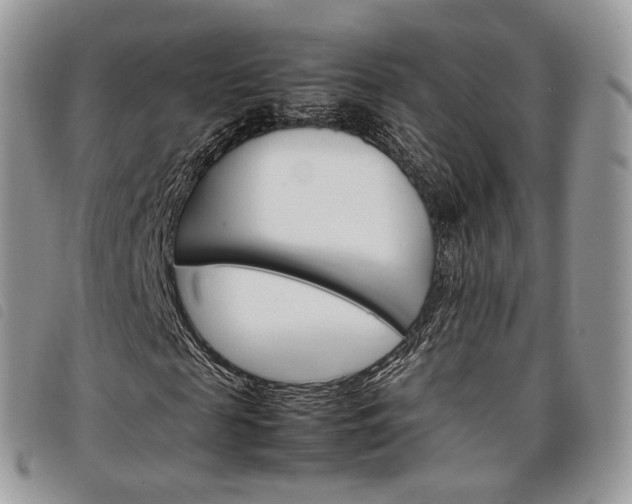 X0000098040817200804071439