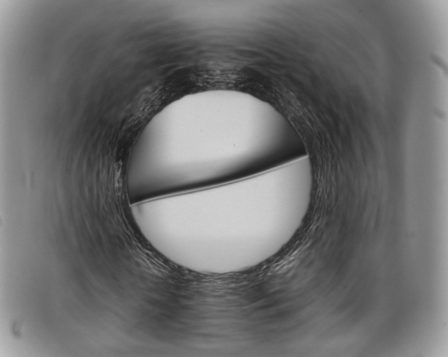 X0000098040818200804071439