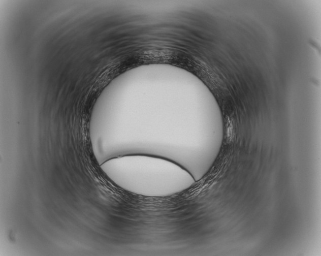 X0000098040819200804071439