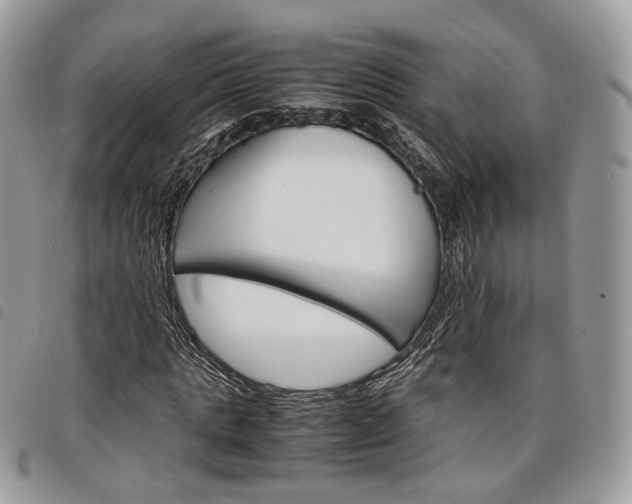 X0000098040821200804071439