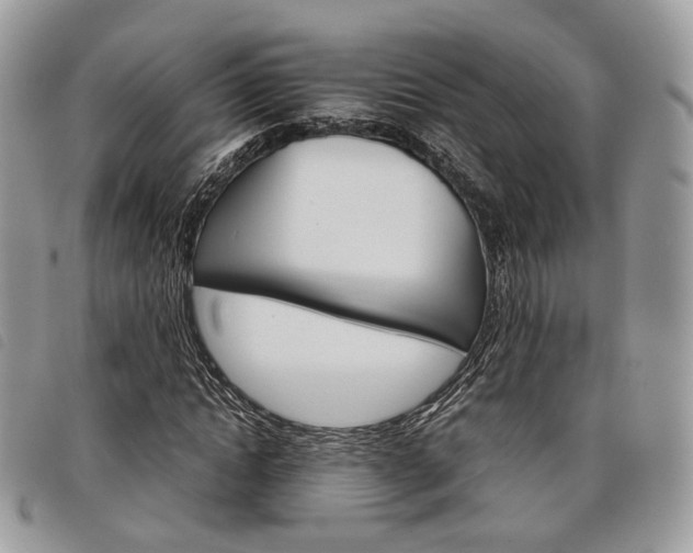 X0000098040822200804071439