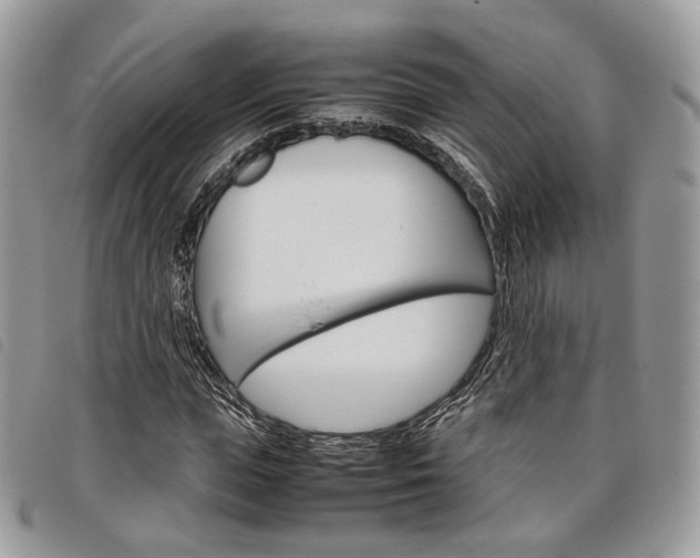 X0000098040823200804071439