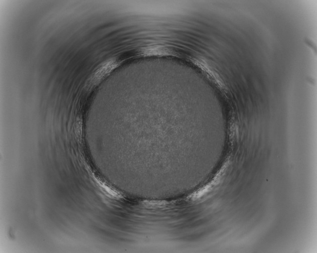X0000098040825200804071439