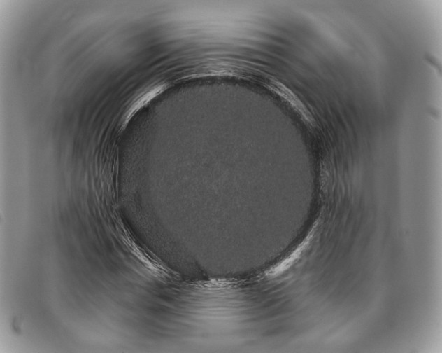 X0000098040826200804071439