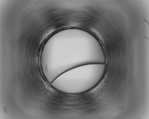 X0000098040827200804071439