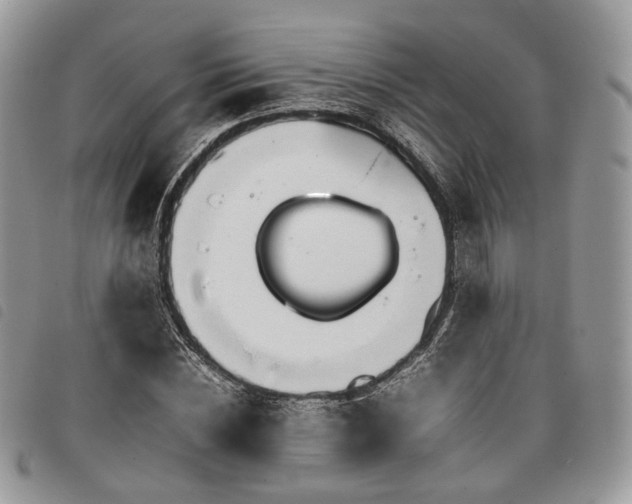 X0000098040828200804071439