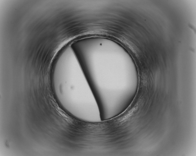 X0000098040830200804071439