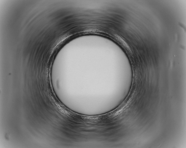 X0000098040831200804071439