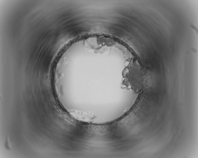 X0000098040832200804071439