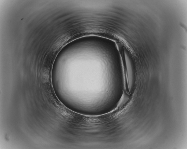 X0000098040833200804071439