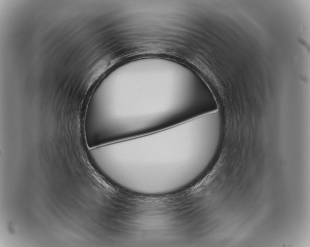 X0000098040834200804071439