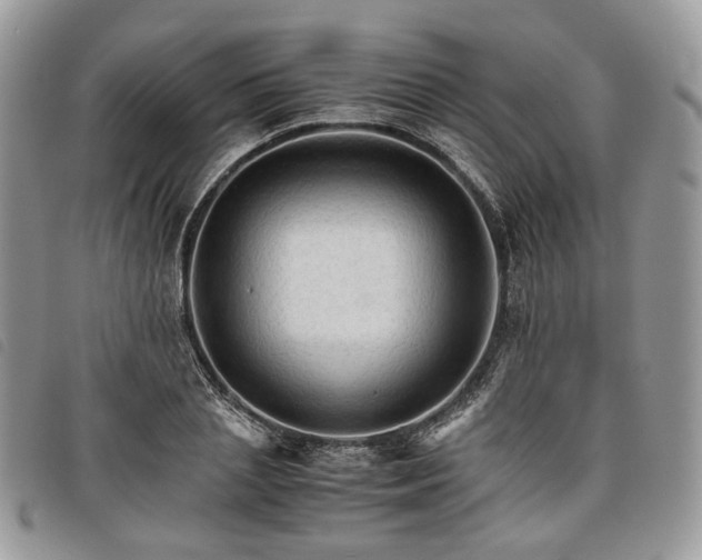 X0000098040837200804071439